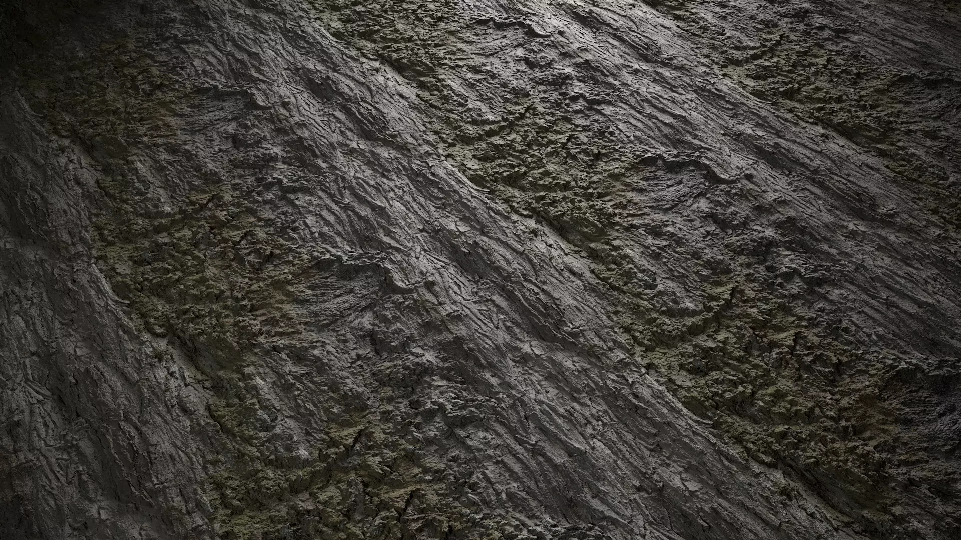 Anydrafts Hippophae rhamnoides Bark 03 Texture_0