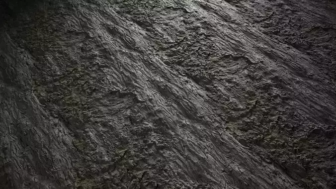 Anydrafts Hippophae rhamnoides Bark 03