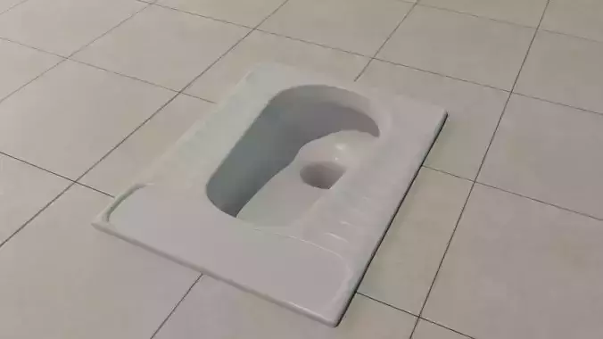 Squat Indian toilet seat