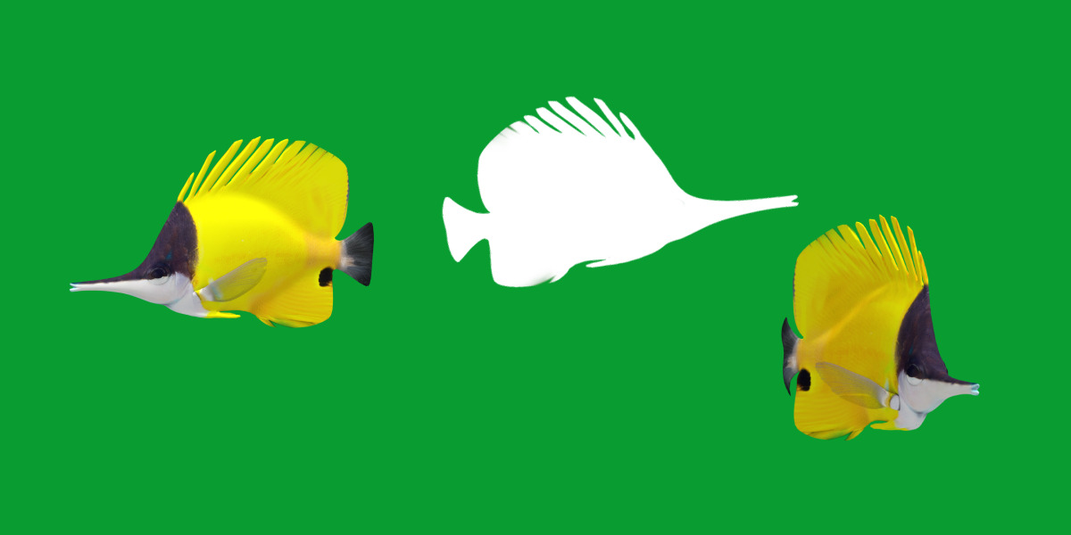 Longnose Butterflyfish Low-poly 3D model_24