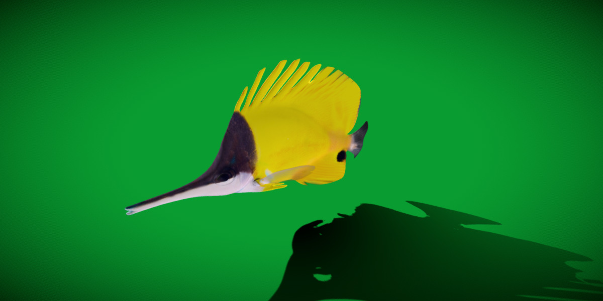 Longnose Butterflyfish Low-poly 3D model_19