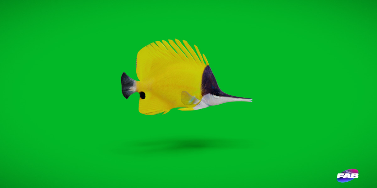Longnose Butterflyfish Low-poly 3D model_3