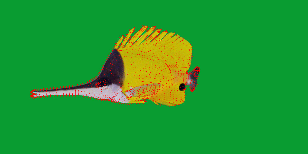 Longnose Butterflyfish Low-poly 3D model_14