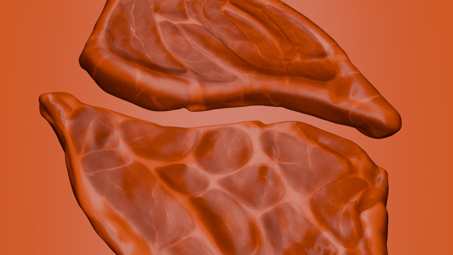 Pork Cut 3D model_40