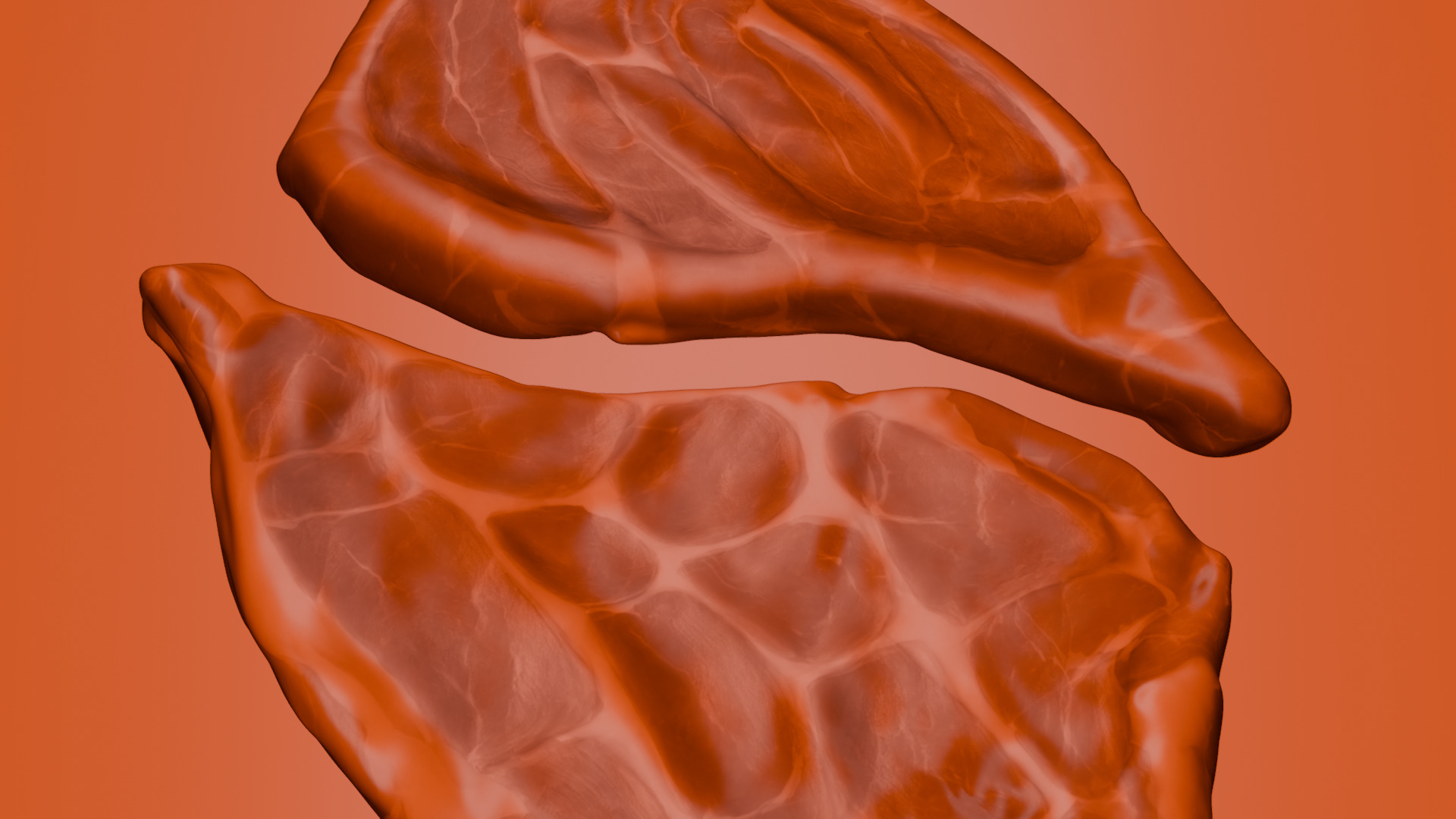 Pork Cut 3D model_42