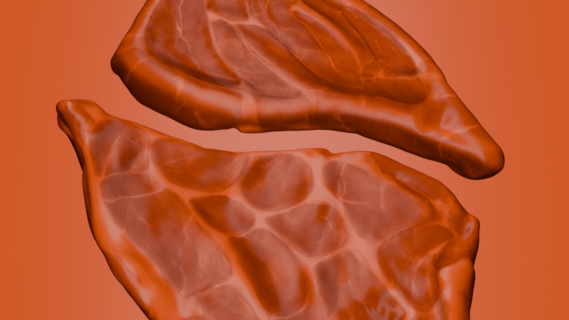 Pork Cut 3D model_45