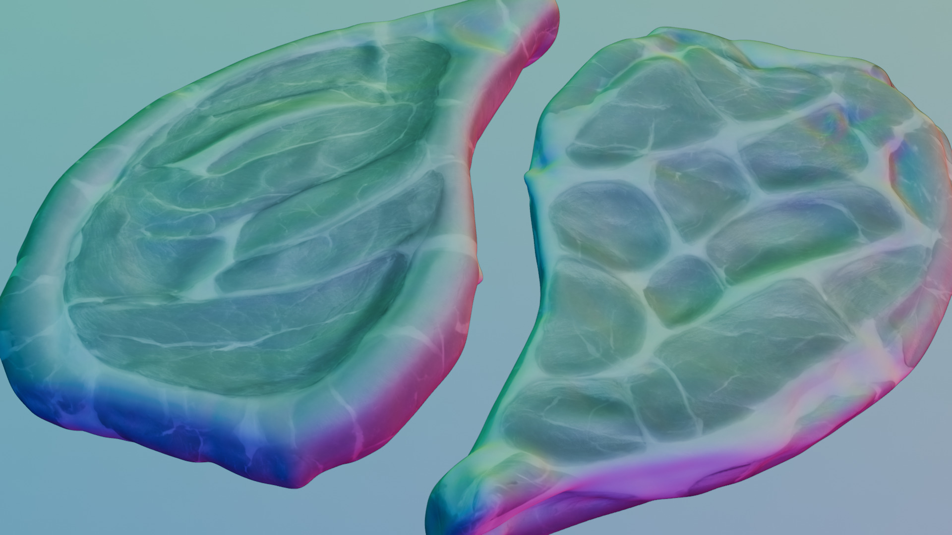 Pork Cut 3D model_25