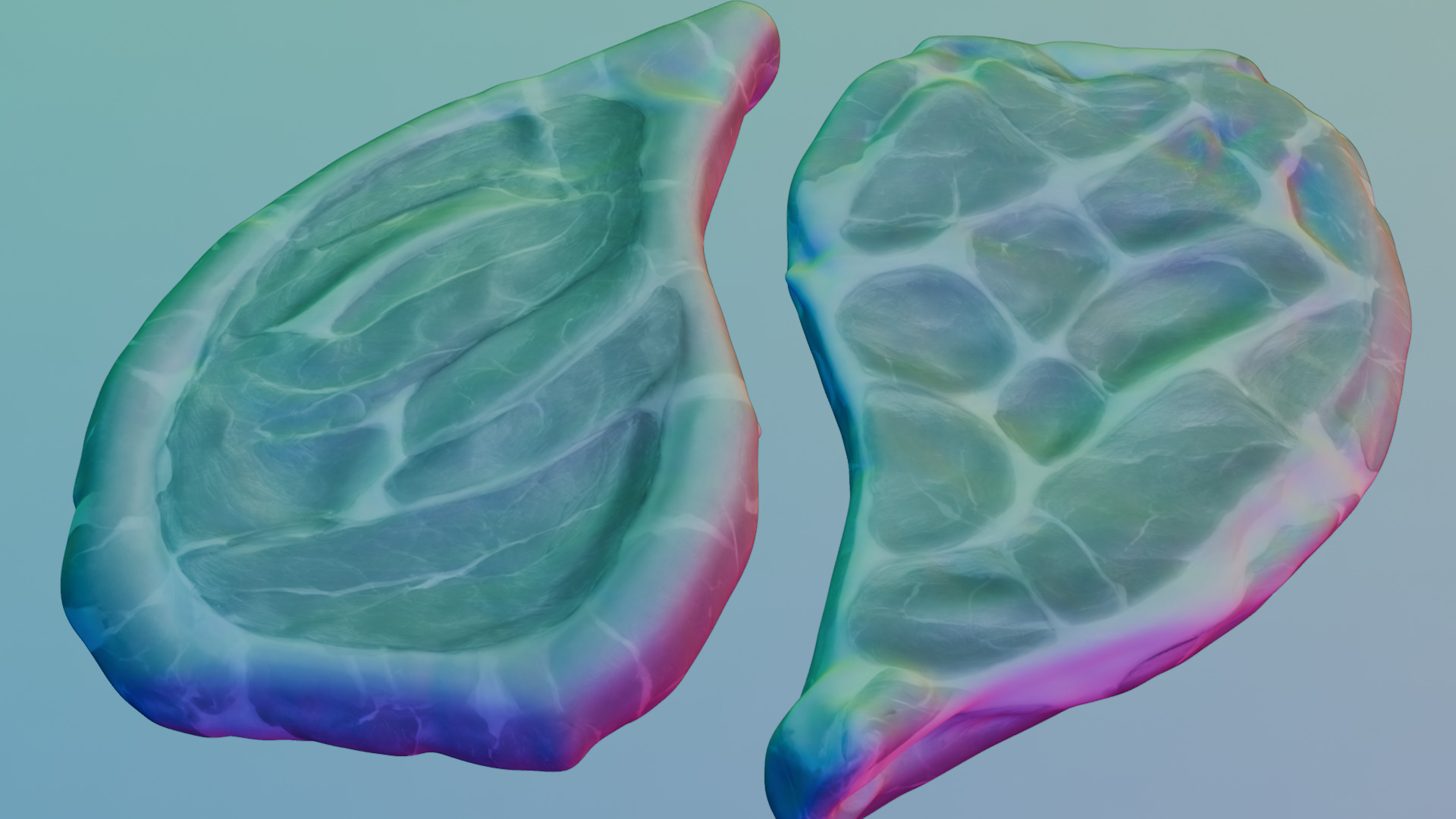 Pork Cut 3D model_21