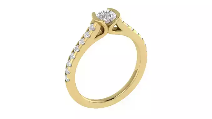 Women Ring  Render 3dm STL OBJ FBX TXT Details