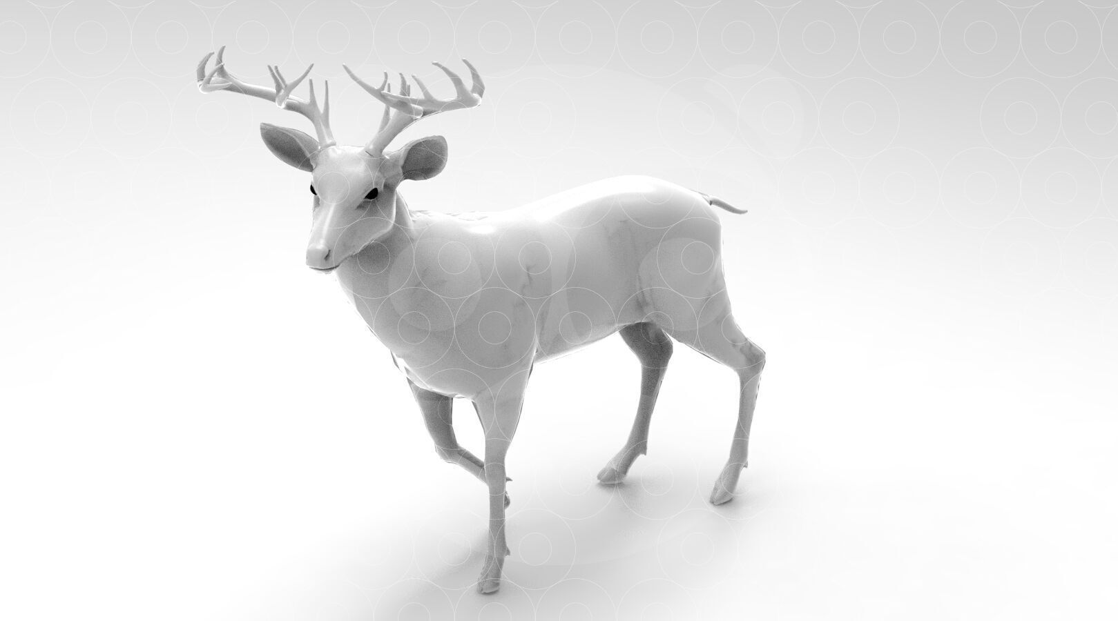 White tailed Deer Low-poly 3D model_7