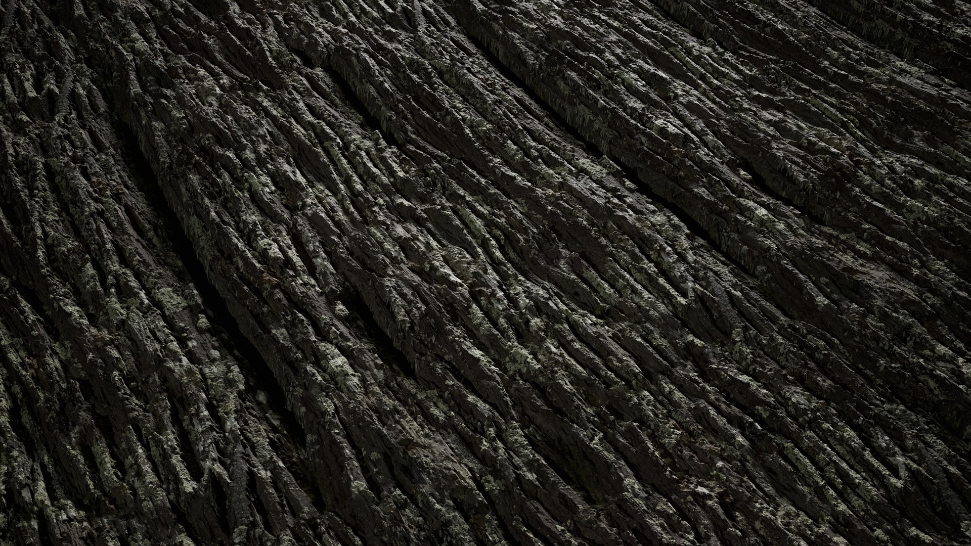 Anydrafts Hippophae rhamnoides Bark 06 Texture_2