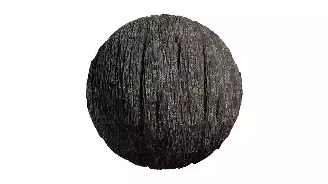 Anydrafts Hippophae rhamnoides Bark 06