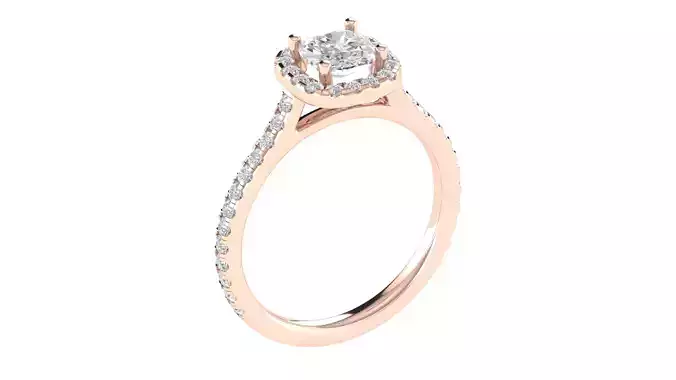 Women Ring  Render 3dm STL OBJ FBX TXT Details