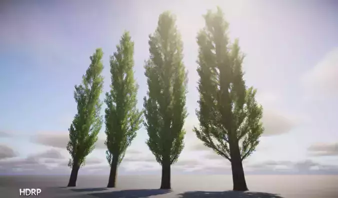 Poplar Trees Low-poly 3D model