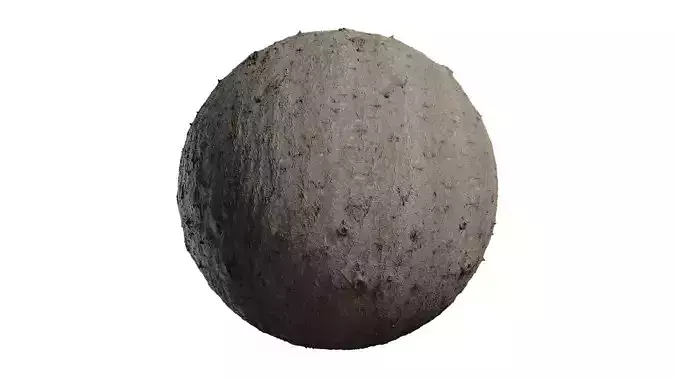 Anydrafts Juglans cathayensis Bark 03