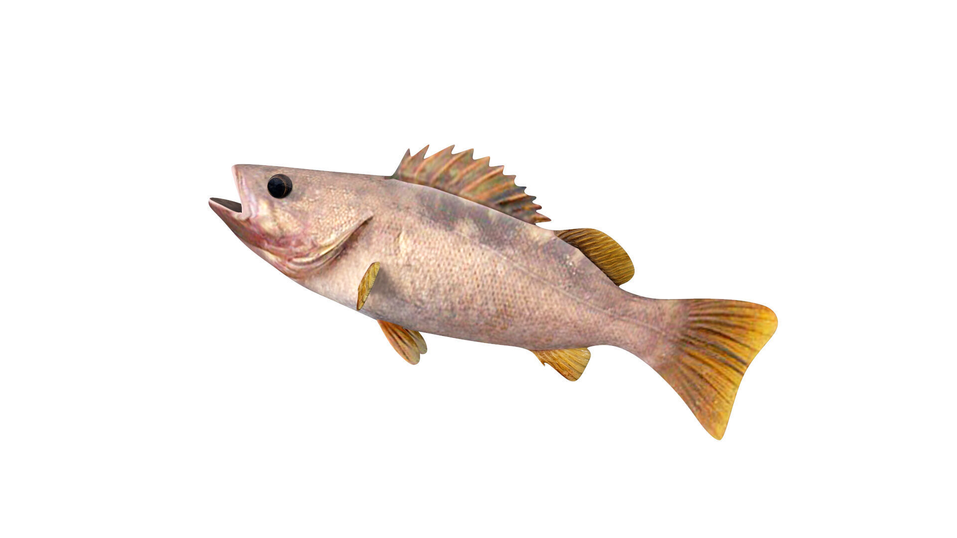 Low-Poly Olive Rockfish Animated Low-poly 3D model_2