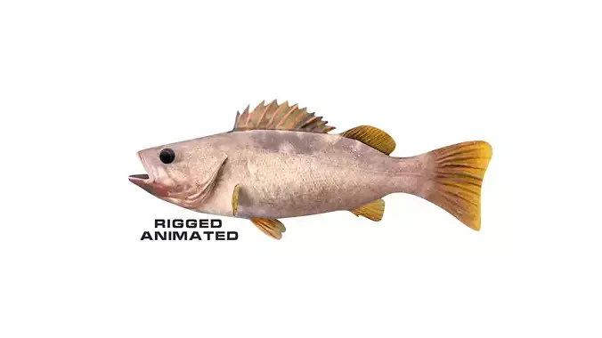 Low-Poly Olive Rockfish Animated Low-poly 3D model