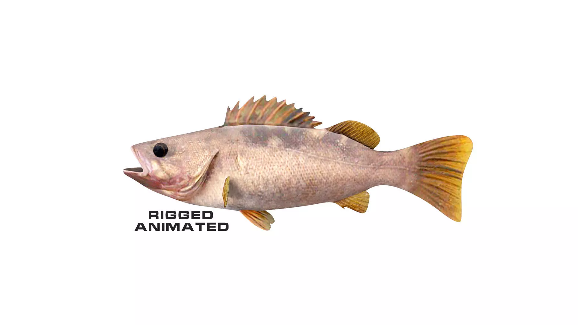 Low-Poly Olive Rockfish Animated Low-poly 3D model_0