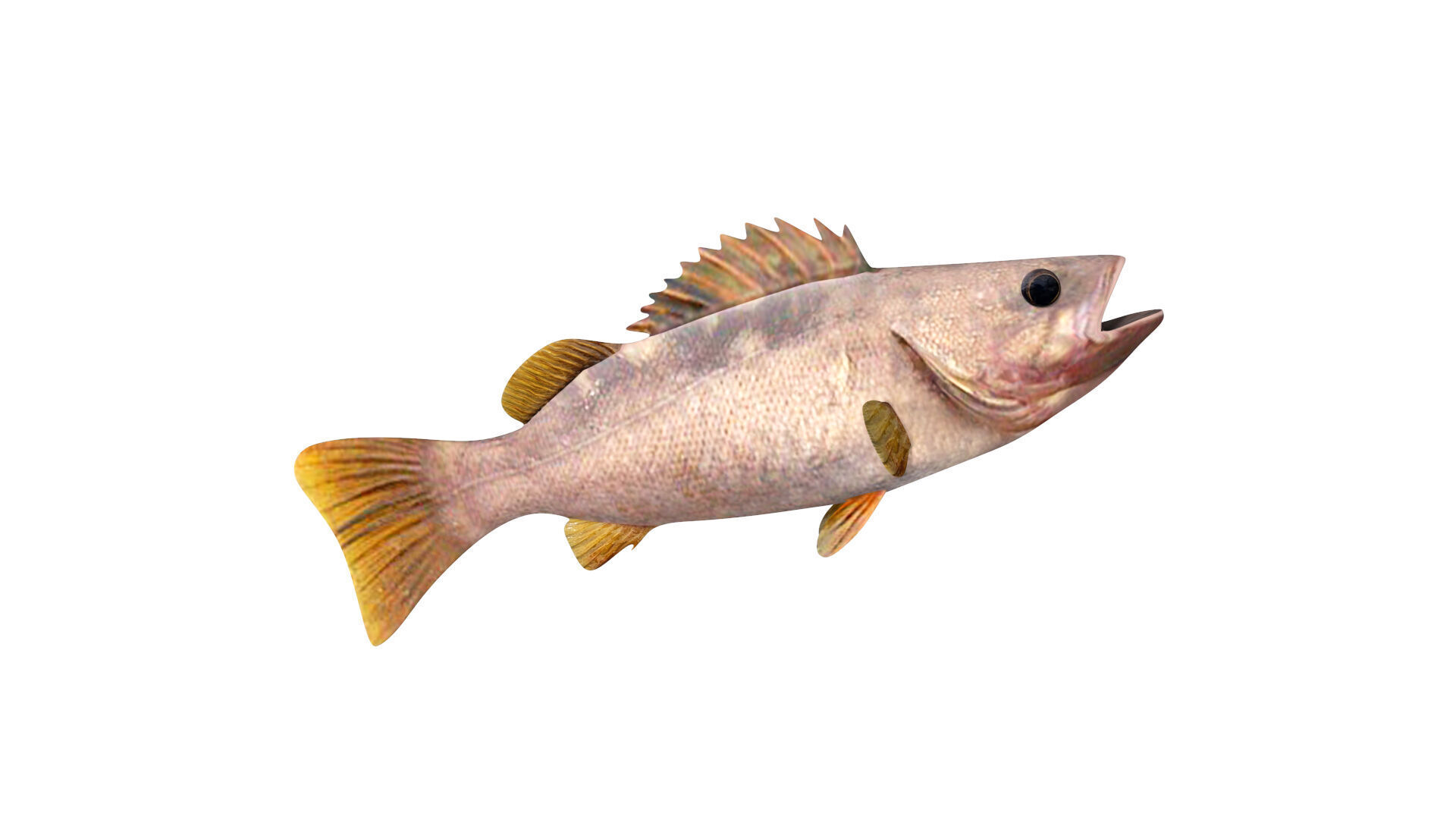 Low-Poly Olive Rockfish Animated Low-poly 3D model_7