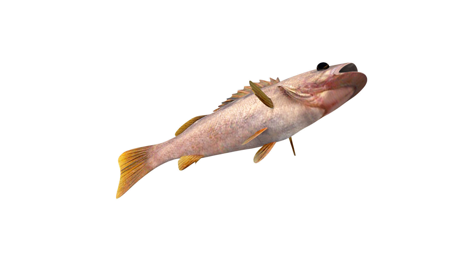 Low-Poly Olive Rockfish Animated Low-poly 3D model_9