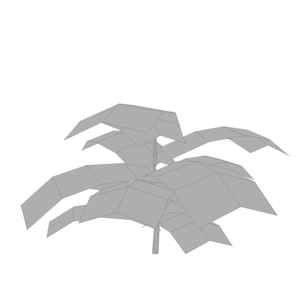 Ground Plant Low-poly 3D model_4