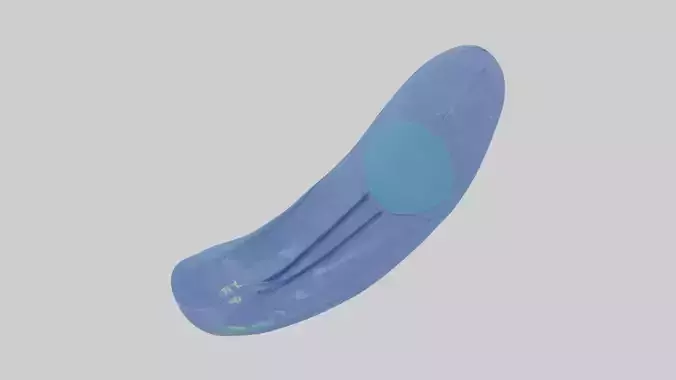 Cartoon Flippers model