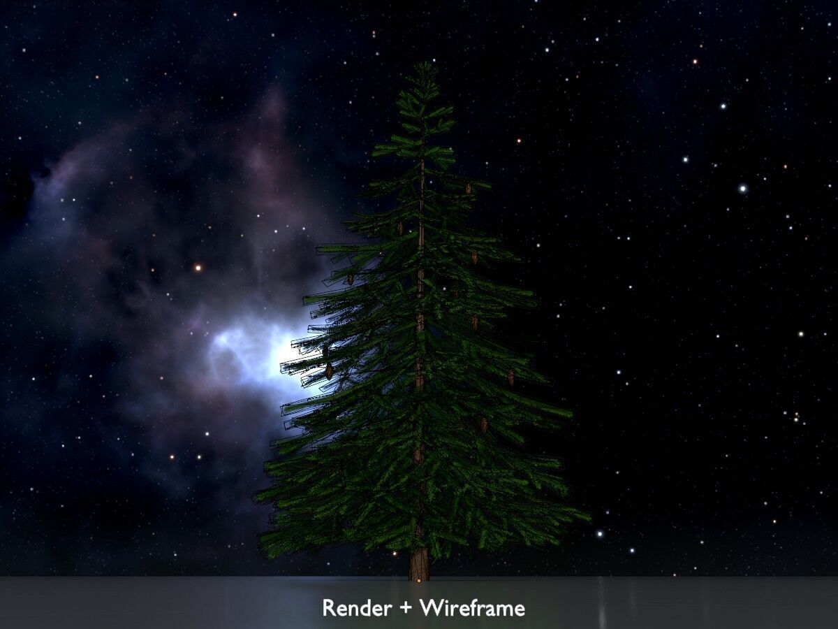 Spruce summer 4000mm Low-poly 3D model_7