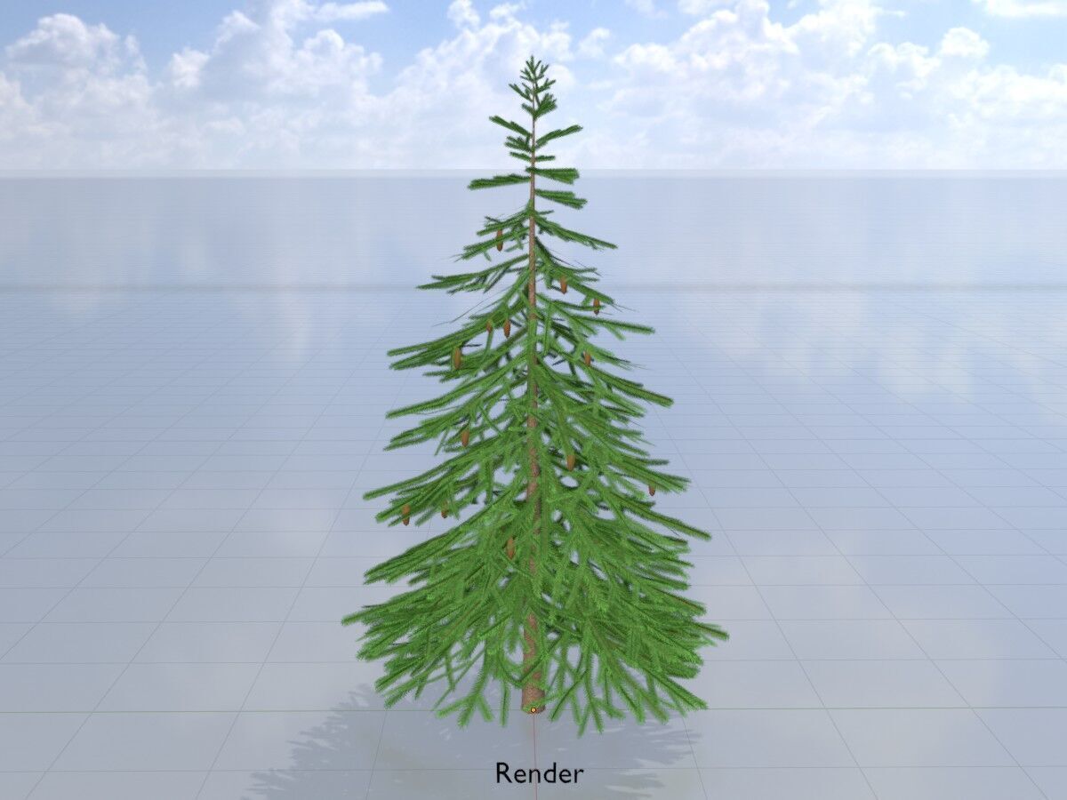 Spruce summer 4000mm Low-poly 3D model_14