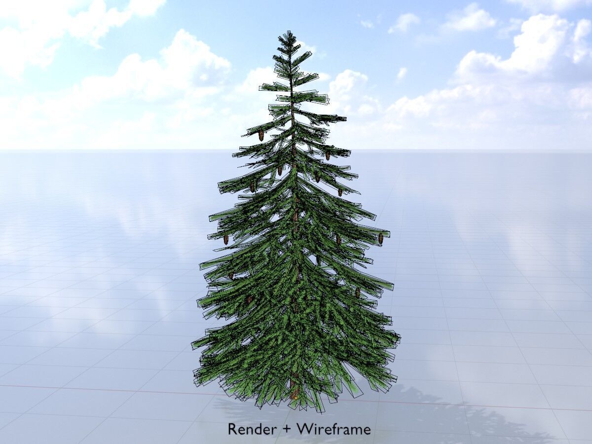 Spruce summer 4000mm Low-poly 3D model_5