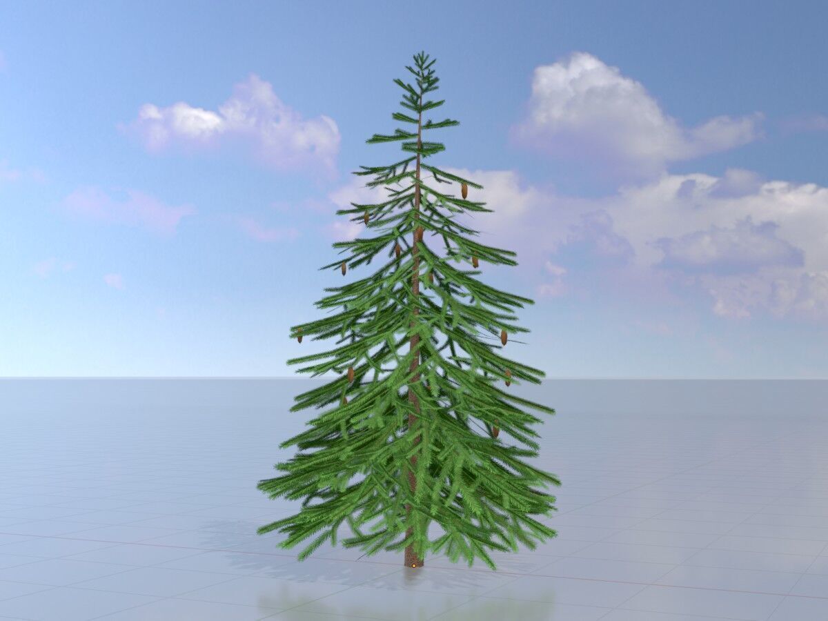 Spruce summer 4000mm Low-poly 3D model_3