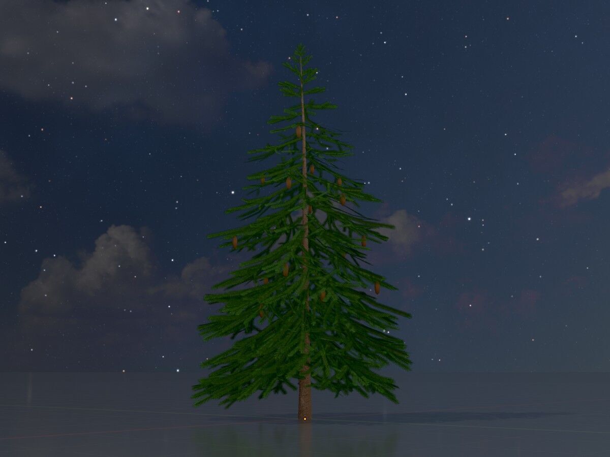 Spruce summer 4000mm Low-poly 3D model_4