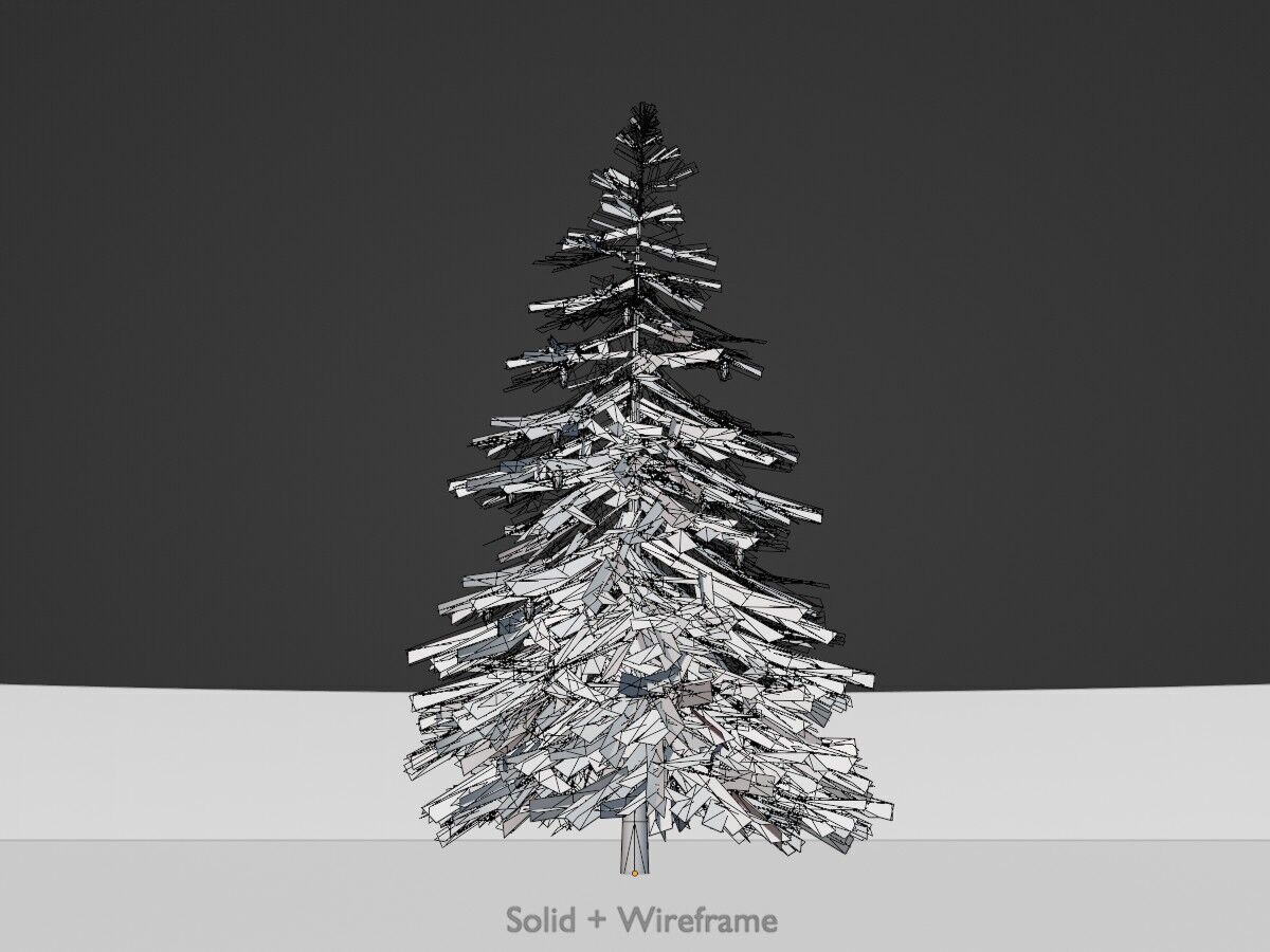Spruce summer 4000mm Low-poly 3D model_10
