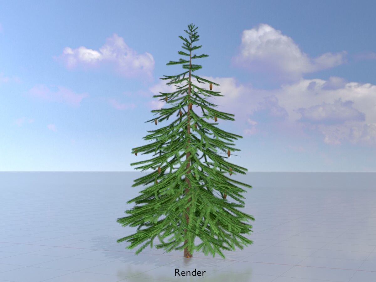 Spruce summer 4000mm Low-poly 3D model_15