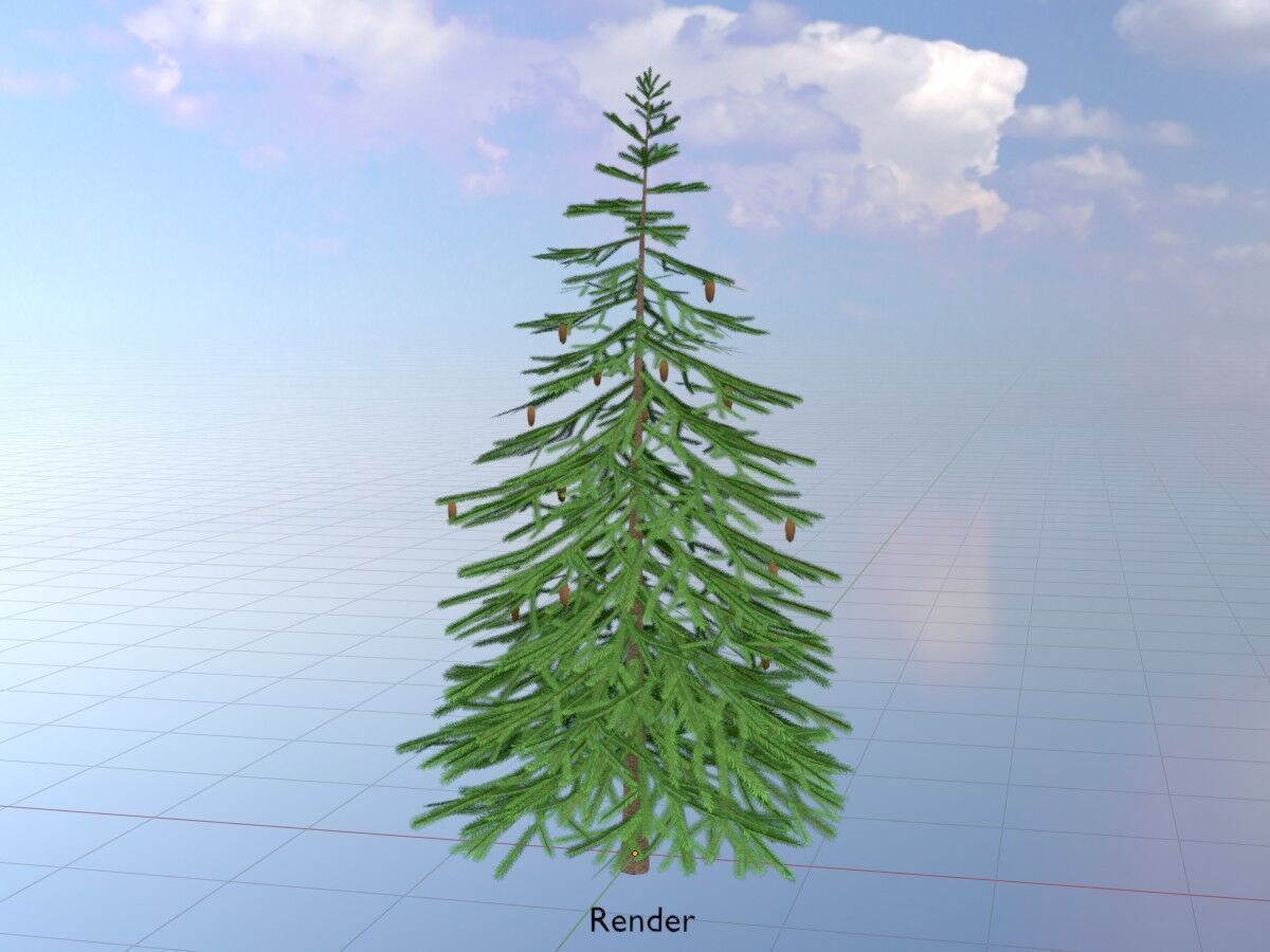 Spruce summer 4000mm Low-poly 3D model_19