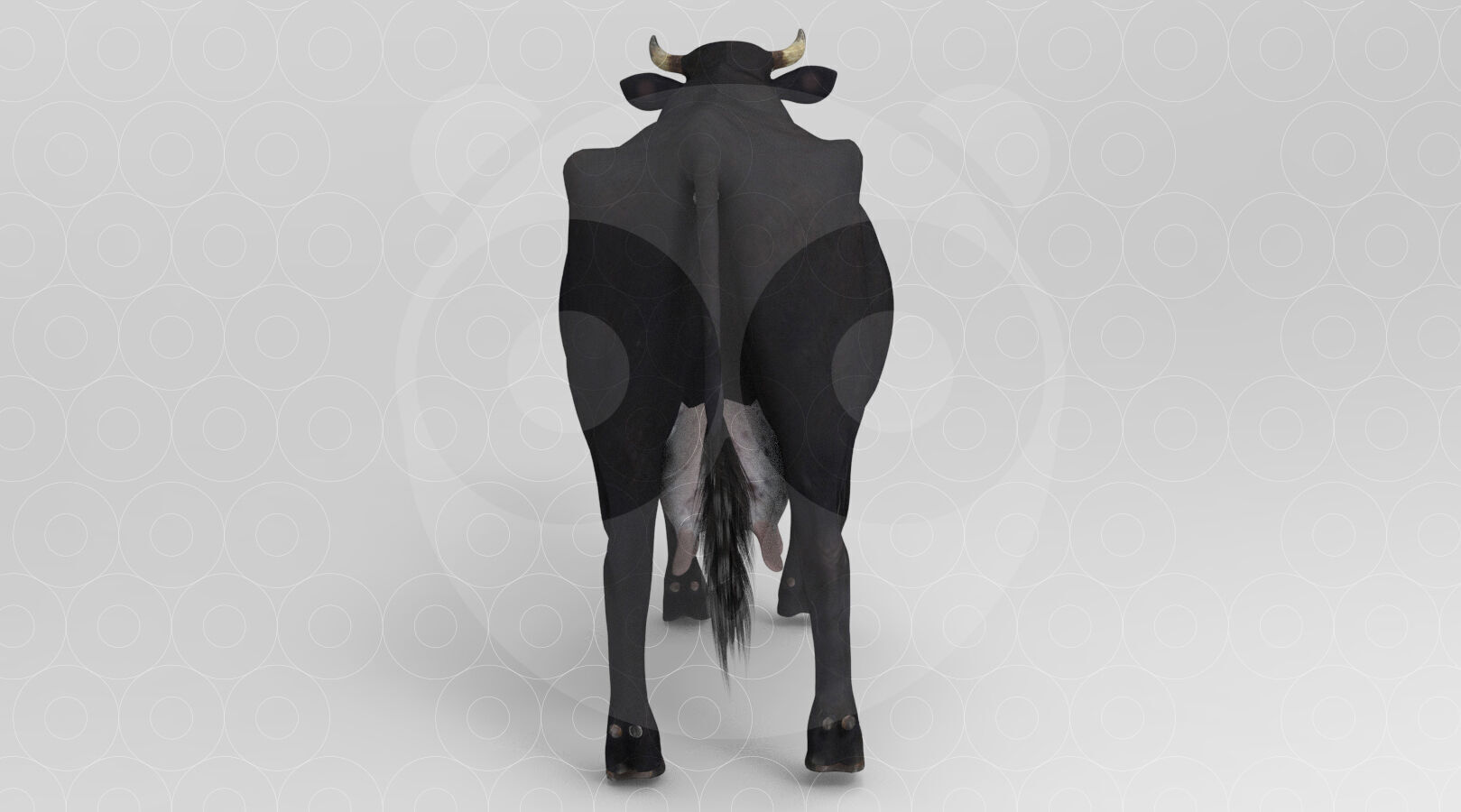 Black Cow Low-poly 3D model_6