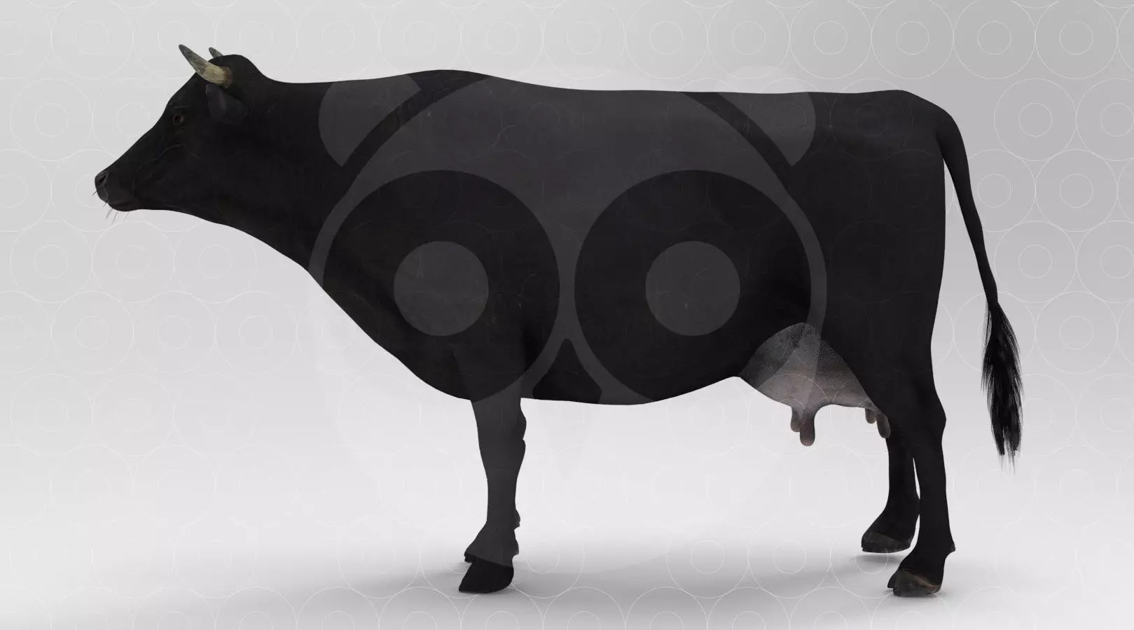 Black Cow Low-poly 3D model_0