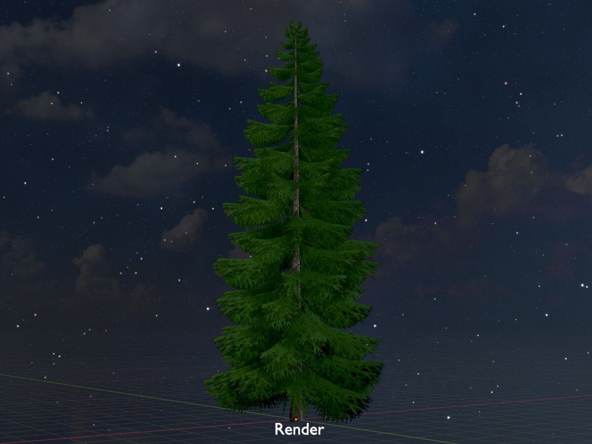Spruce summer 12000mm Low-poly 3D model_20