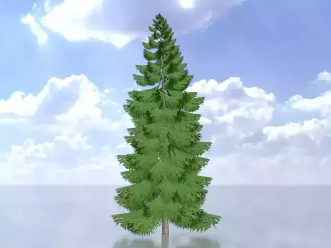 Spruce summer 12000mm Low-poly 3D model