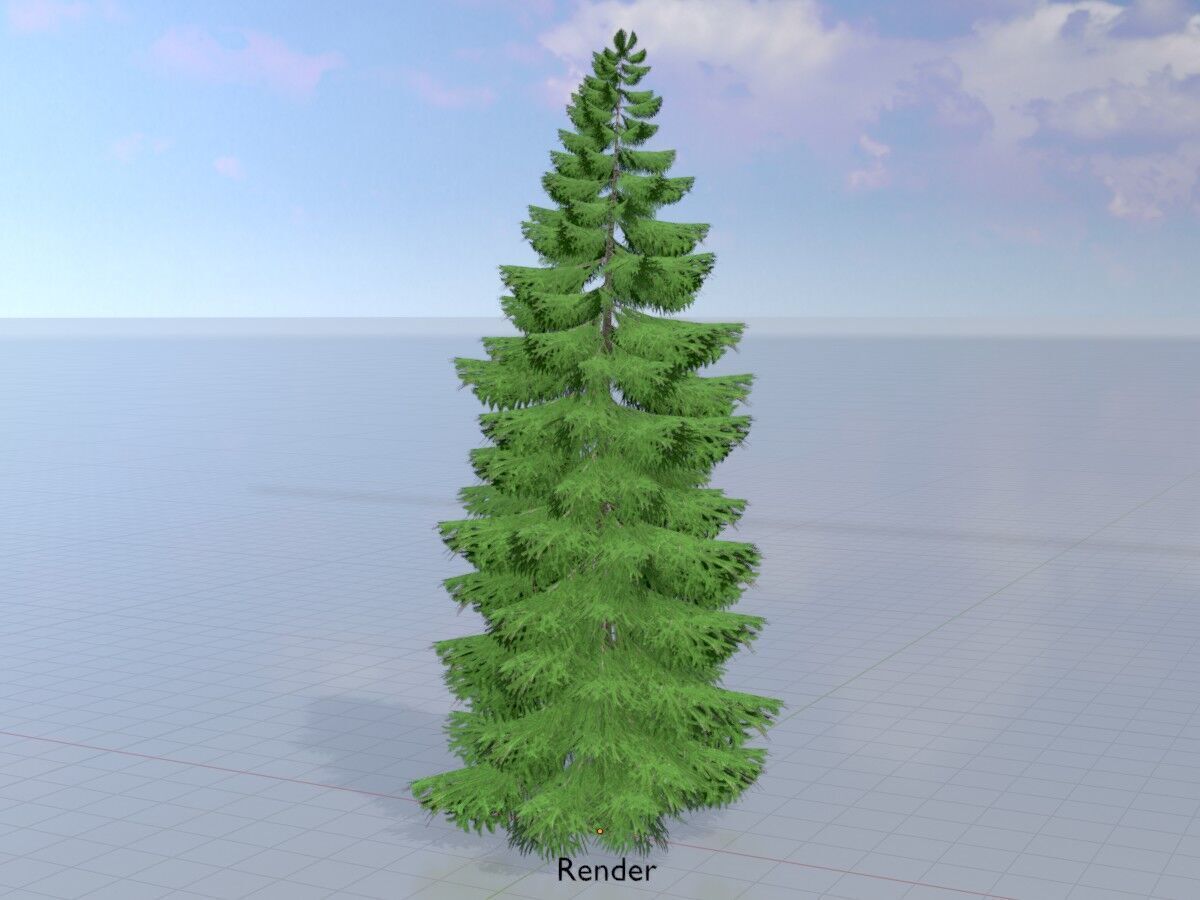 Spruce summer 12000mm Low-poly 3D model_15