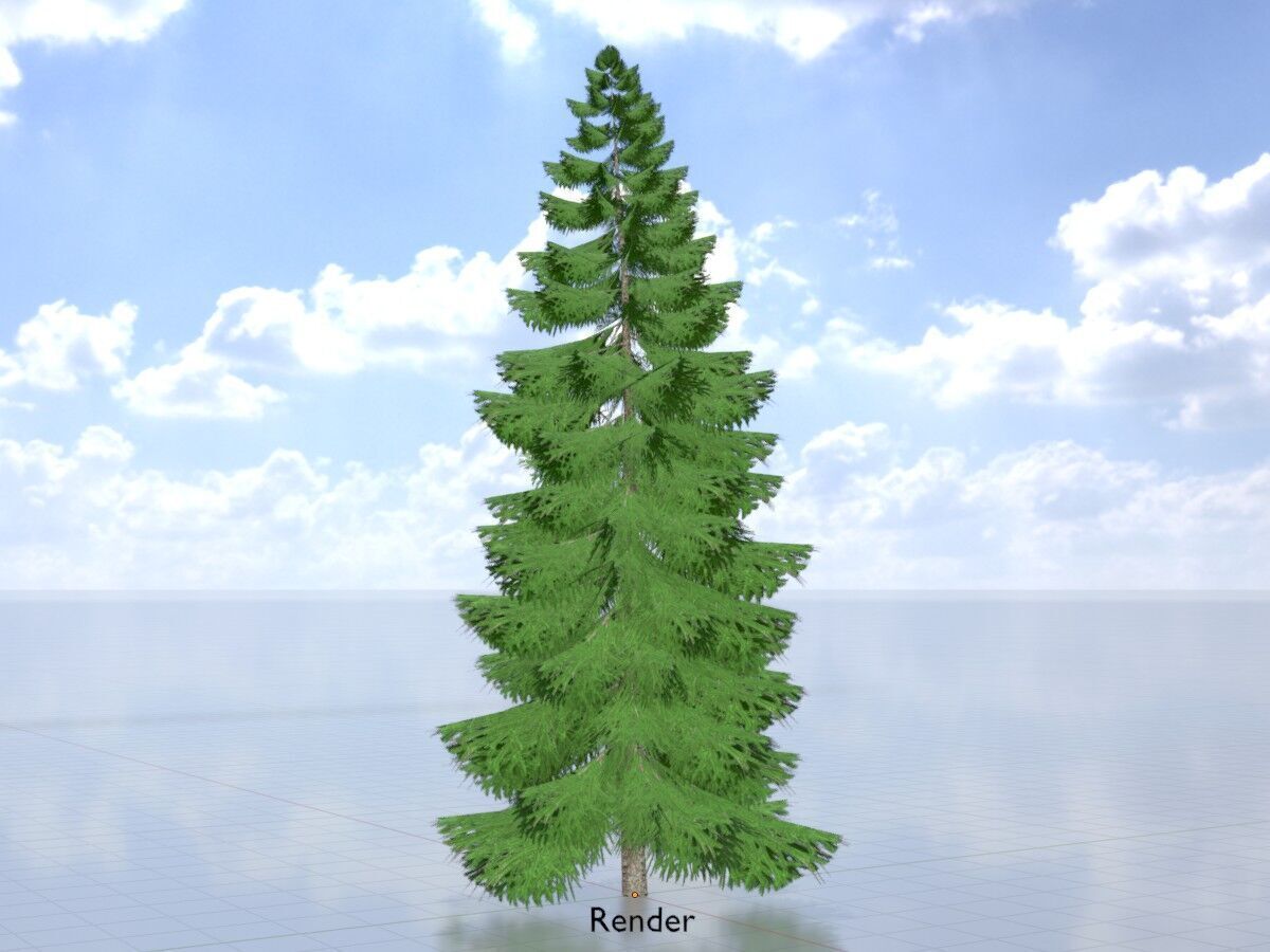 Spruce summer 12000mm Low-poly 3D model_13