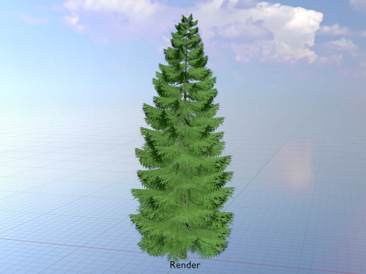 Spruce summer solitary 21000mm Low-poly 3D model_19