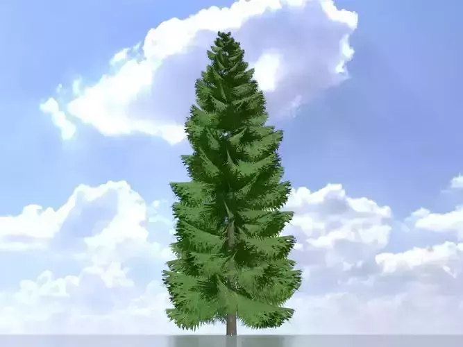 Spruce summer solitary 21000mm Low-poly 3D model
