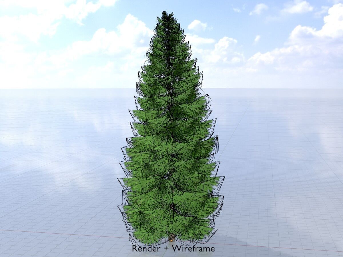 Spruce summer solitary 21000mm Low-poly 3D model_5