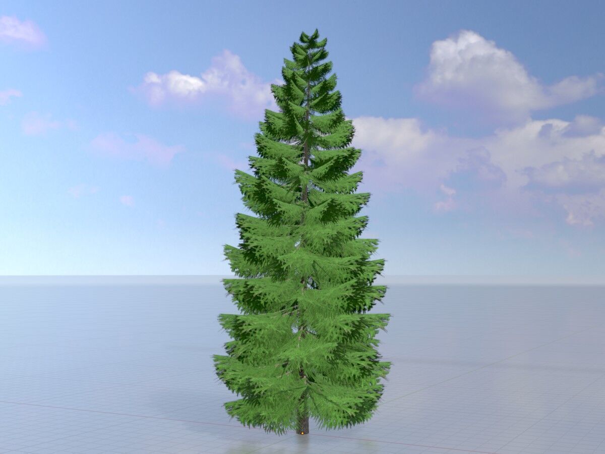 Spruce summer solitary 21000mm Low-poly 3D model_3