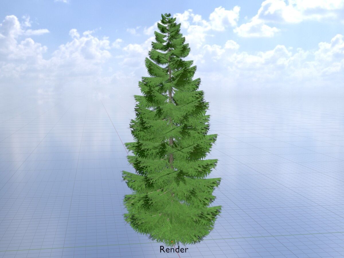 Spruce summer solitary 21000mm Low-poly 3D model_18
