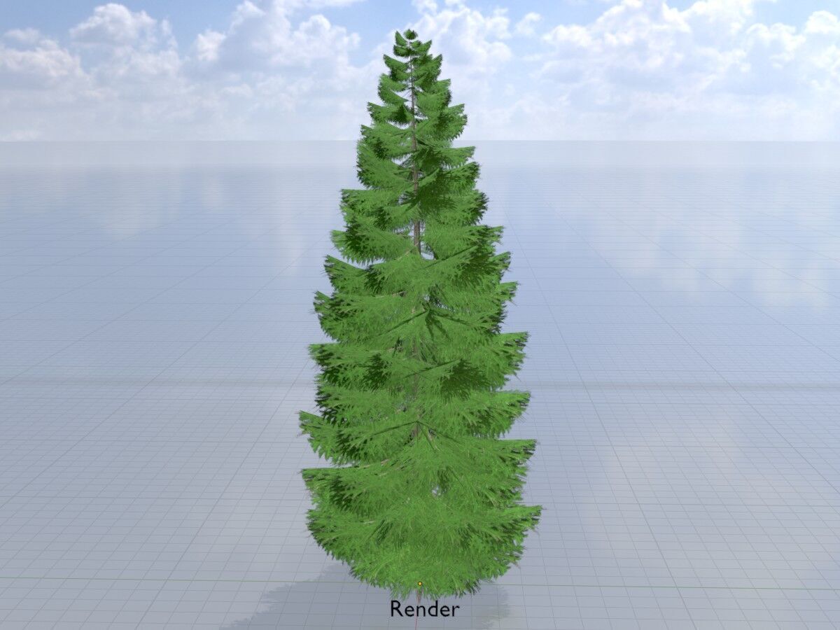 Spruce summer solitary 21000mm Low-poly 3D model_14