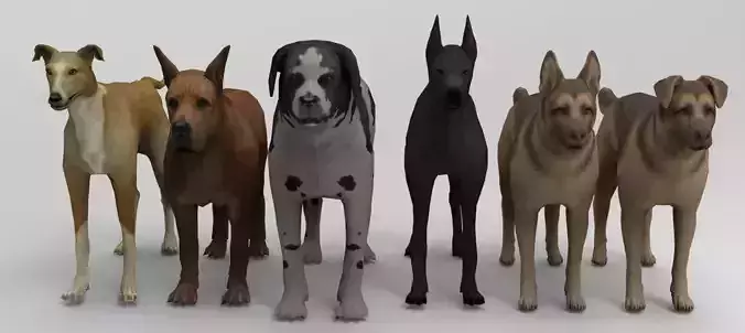6 Dog Pack - Rigged Low-poly 3D model