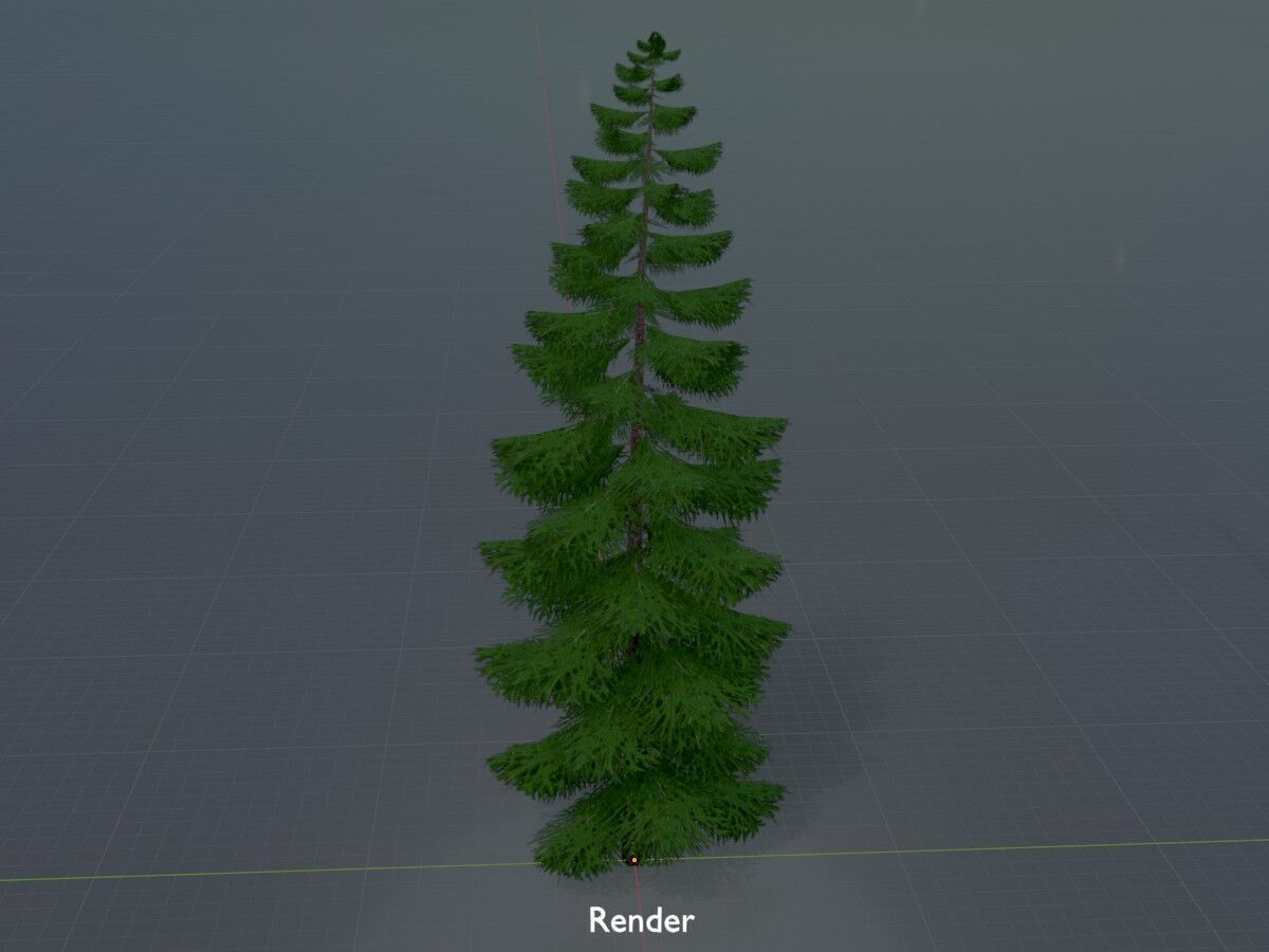 Spruce summer solitary 31000mm version 1 Low-poly 3D model_16