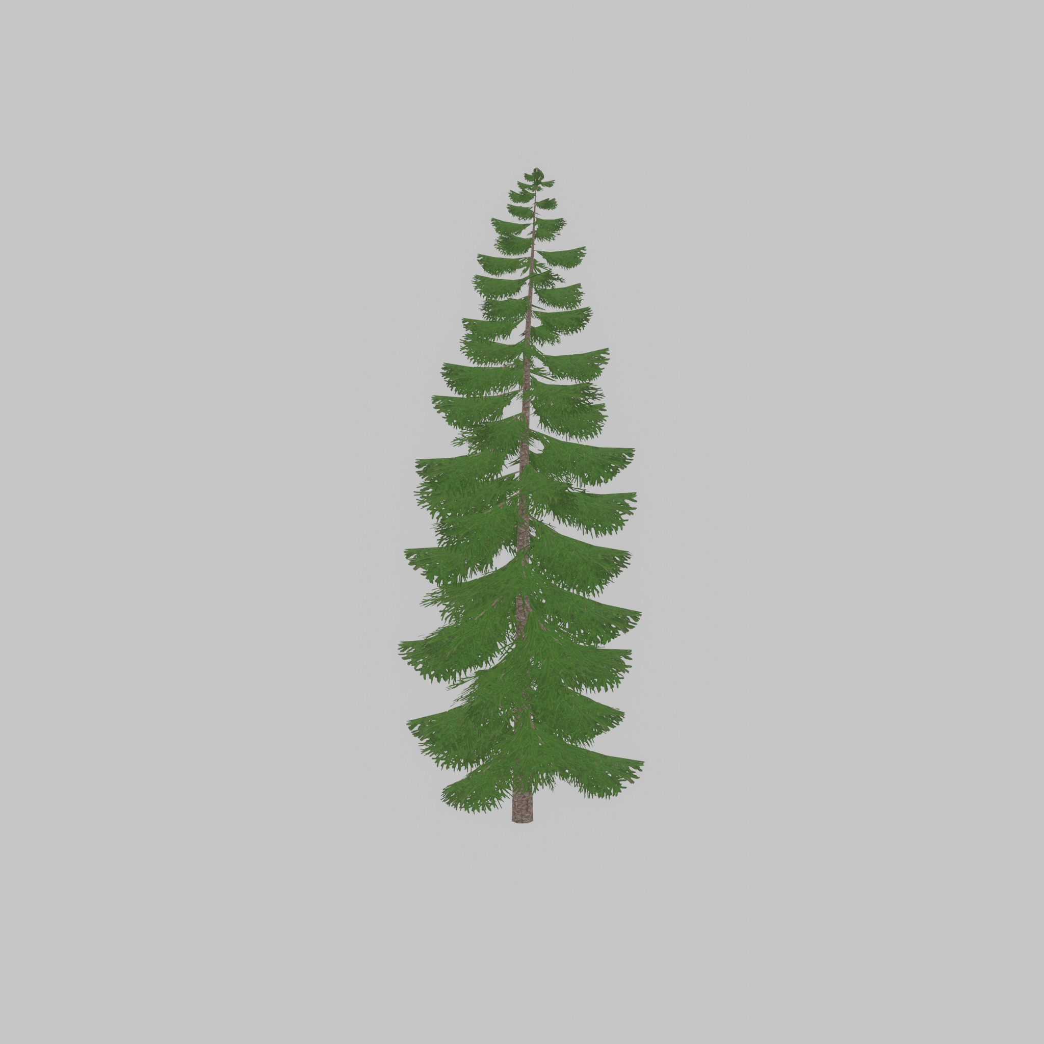 Spruce summer solitary 31000mm version 1 Low-poly 3D model_22
