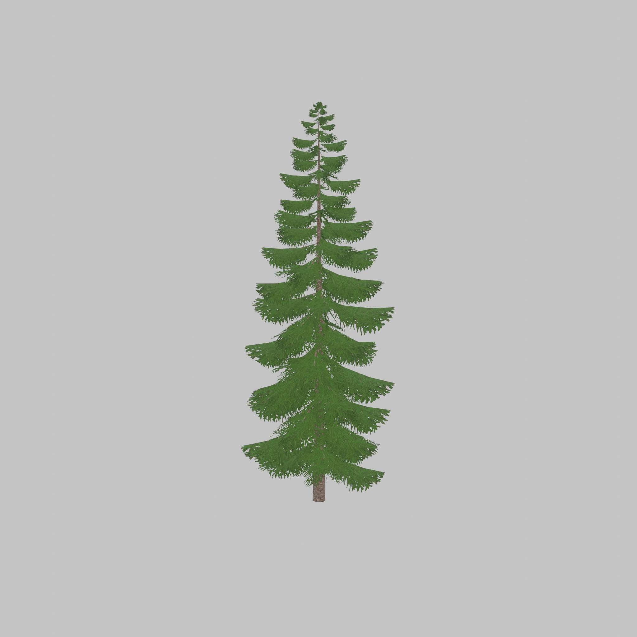 Spruce summer solitary 31000mm version 1 Low-poly 3D model_47